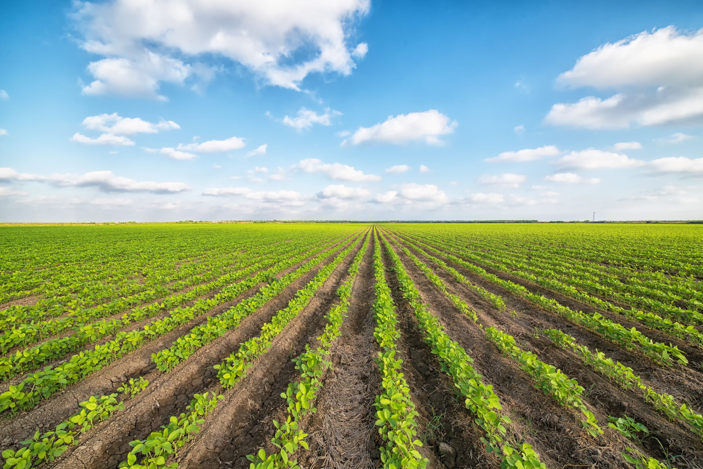 https://www.kaipara.govt.nz/uploads/images/website size Harvest Field.jpeg